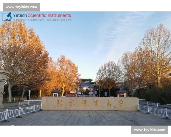 基于体育竞赛表现的综合评估与能力提升研究